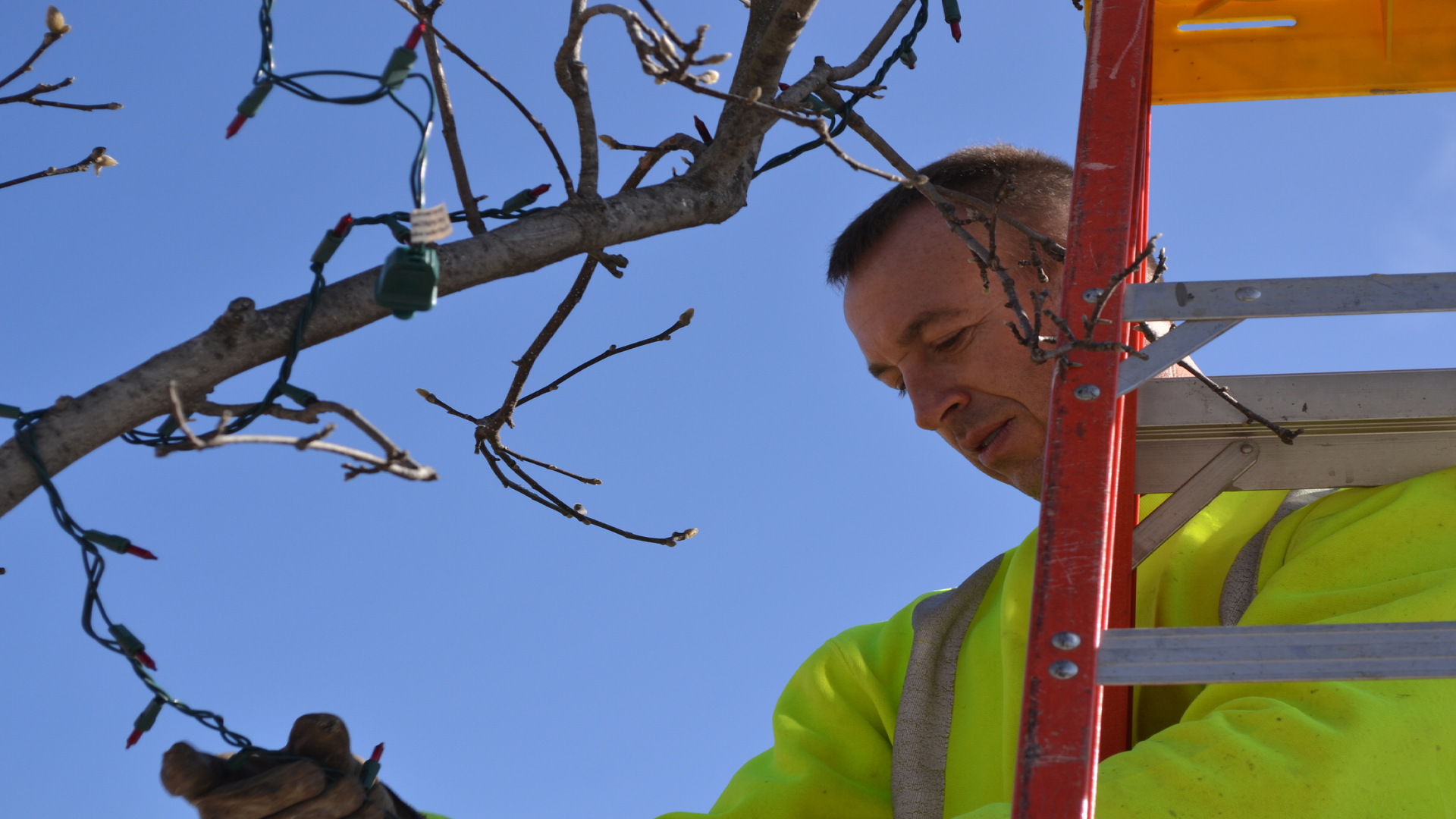 Pictue of a street worker on a ladder